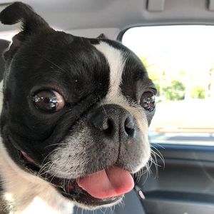 Meet your Posher, Josh